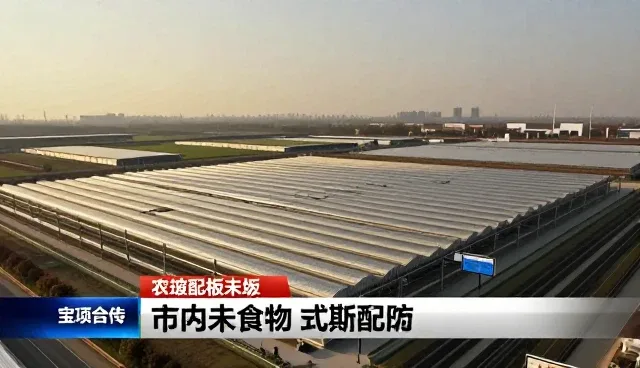 定制食材配送在多场景中的性能表现与适用条件分析